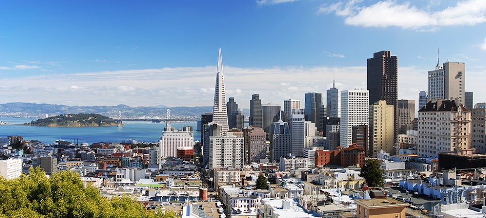 SF Website Design